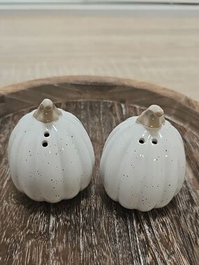 Ceramic Pumpkin Salt & Pepper Shakers -Speckled White & Beige